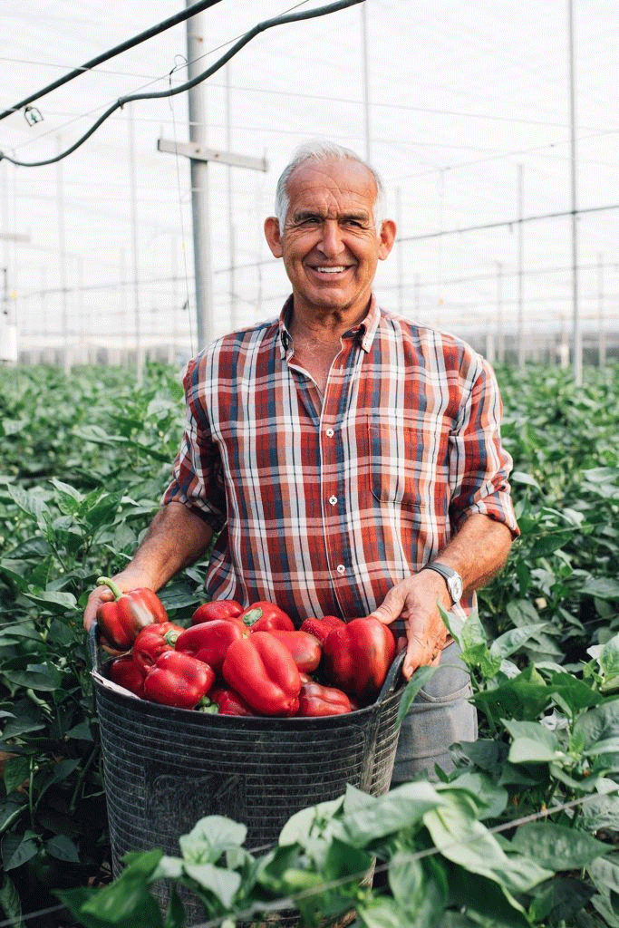 Fernando Díaz